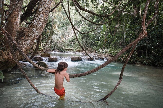 Emerald Falls Canadian Tour & Nature Experience - Frequently Asked Questions