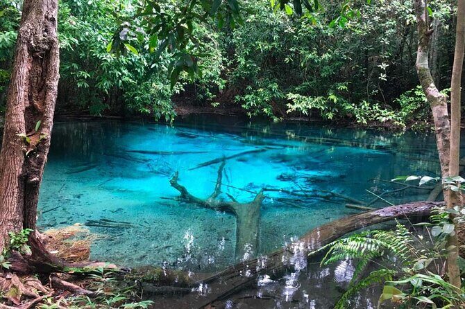 Emerald Pool: Jungle Tour, Private Full Day with Lunch - An In-Depth Look at Your Krabi Day