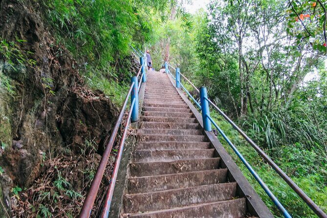 Emerald Pool: Jungle Tour, Private Full Day with Lunch - Who Would Enjoy This Tour?