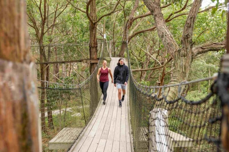 Enchanted Adventure Admission with Lunch - Who Should Consider This Tour?