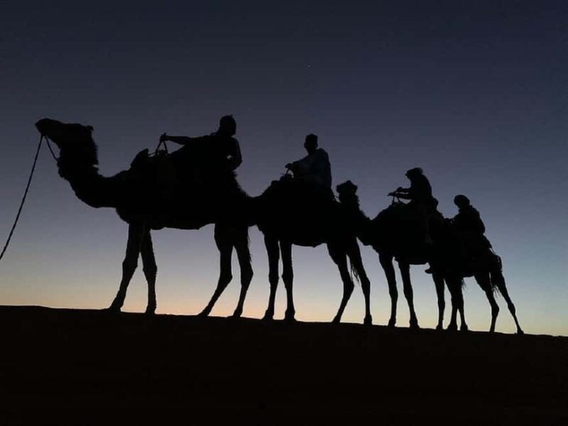 Enchanting Desert Journey 3 Days from Marrakech to Fez - The Itinerary in Detail