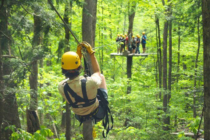 Enchanting Zipline , Camano Island and Deception Pass Tour - A Deep Dive into the Experience