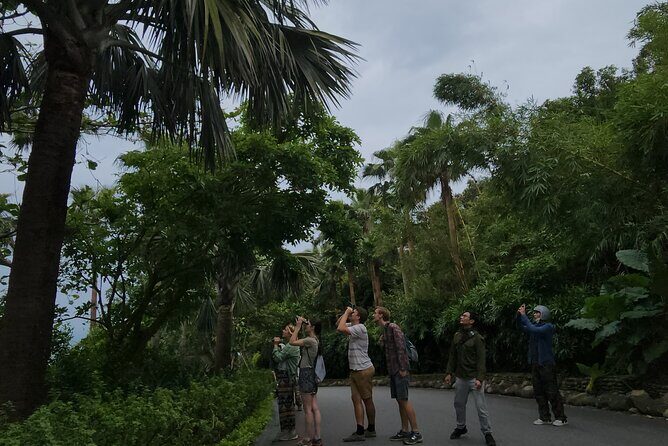 Endangered Monkeys Watching - Red Shanked Douc Langurs - A Close Look at the Tour Experience