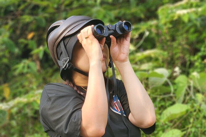 Endangered Monkeys Watching - Red Shanked Douc Langurs - The Sum Up