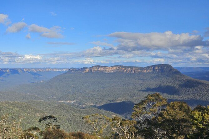 English or German Luxury Private Blue Mountains Tour from Sydney - Who Should Consider This Tour?