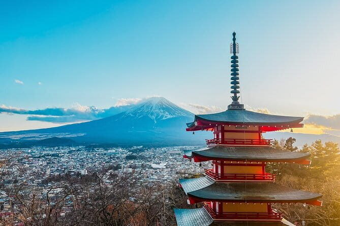 English-speaking Guided Tour:Mount Fuji & Hakone, Private Vehicle - Analyzing the Experience: What Makes This Tour Stand Out
