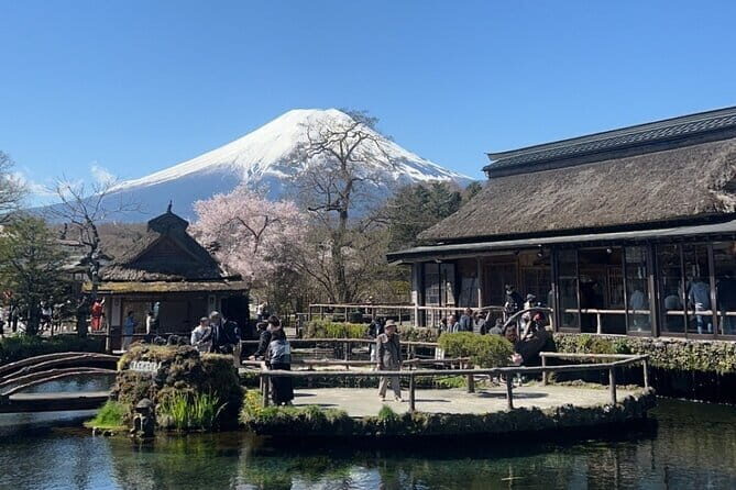 English-speaking Guided Tour:Mount Fuji & Hakone, Private Vehicle - The Experience: What Travelers Say