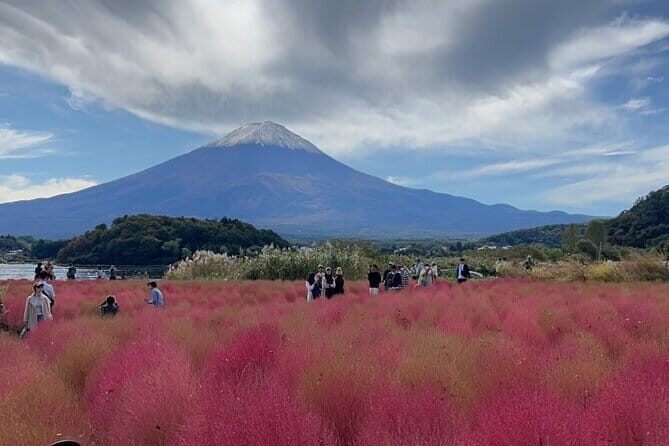 English-speaking Guided Tour:Mount Fuji & Hakone, Private Vehicle - Who Will Love This Tour?
