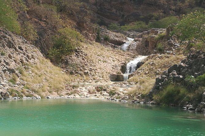 Enjoy a Full-Day Tour Uncovering East Salalahs Hidden Gems - Contact & Booking