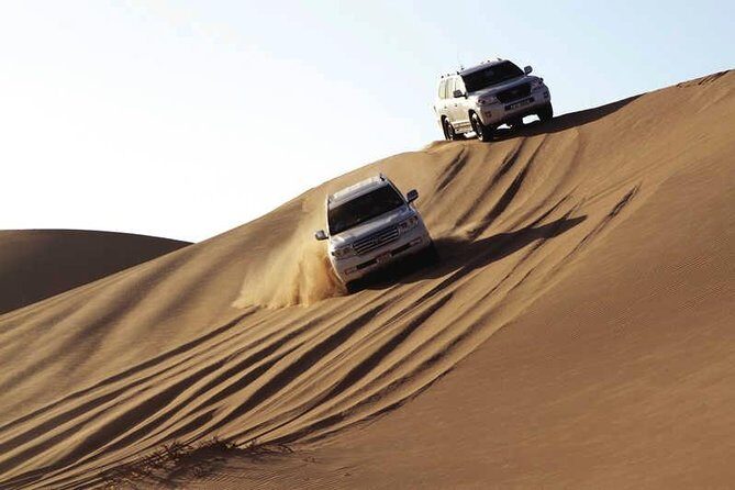 Enjoy Abu Dhabi City Tour and Desert Safari - Who Should Consider This Tour?