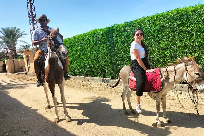 Enjoy Fayoum & Sandboarding with Egyptian Lunch at Tunis village. - FAQs