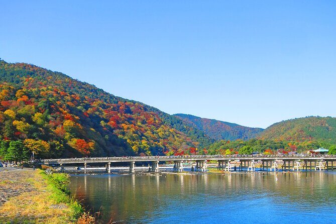 Enjoy Kyoto in Style with a Minivan & Guide! - Key Points