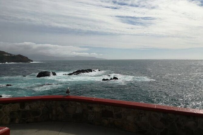 Enjoy La Bufadora and eat the best tacos! - Exploring the Market and the Scenic Corridor