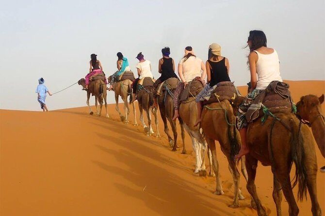 Enjoy Luxury camp 1 nights .camel Drums sandboarding.QUADS - In The Sum Up