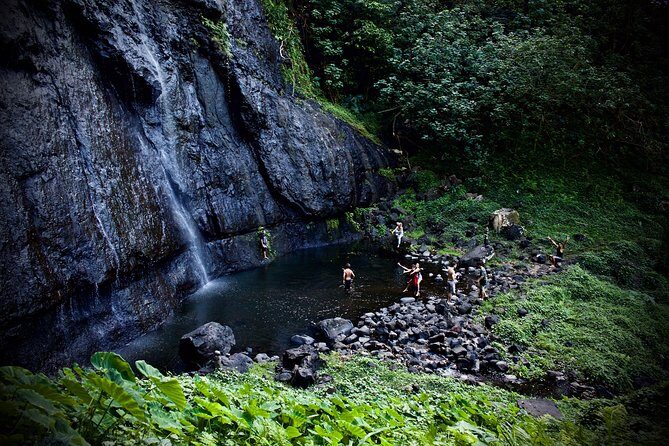 Enjoy Moorea Private day tour - Practical Details