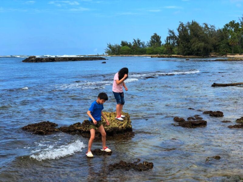Enjoy Private Professional Photo Tour in Honolulu Island - An Inside Look at the Honolulu Private Photo Tour