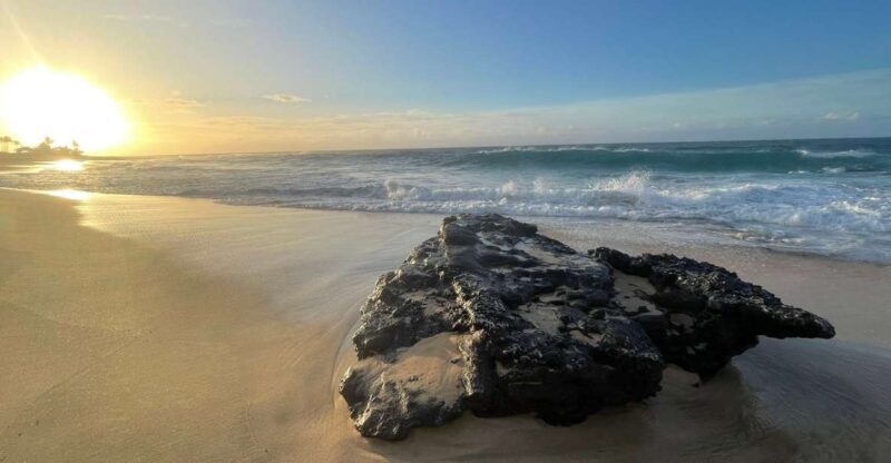 Enjoy Private Professional Photo Tour in Honolulu Island - Final Thoughts