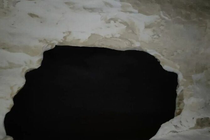 Enjoy safari The black and white desert two night 3 days - Transportation, Timing, and Group Size