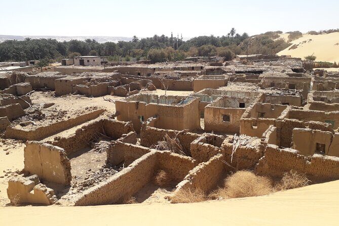Enjoy safari The black and white desert two night 3 days - The Sum Up: Who Will Love This Tour?