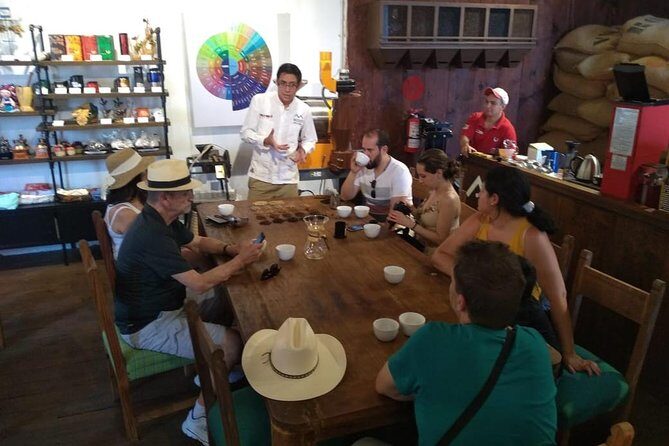 Enjoy the coffee route in Coatepec Magical Town - An In-Depth Look at the Coffee Route in Coatepec