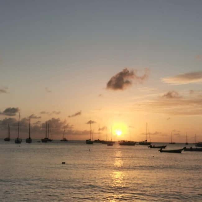 Enjoy the Sea in Boa Vista - Private Boat Tour - Final Thoughts: Why Choose This Private Boat Tour?
