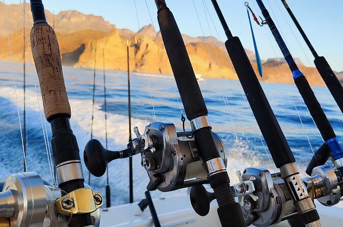 Enjoy the sport fishing paradise in Loreto, BCS - Who Will Enjoy This Tour?