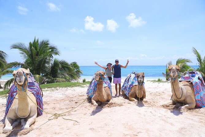 ENJOY UNIQUE CAMEL RIDE in Puerto Morelos with Transportation - An In-Depth Look at the Tour Experience