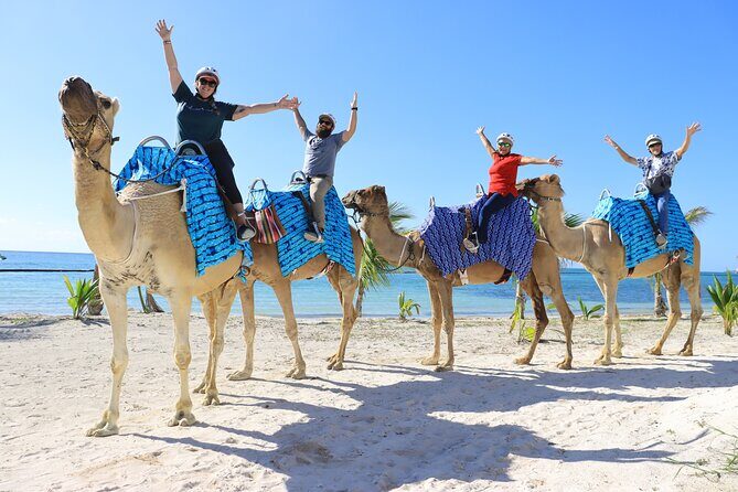 ENJOY UNIQUE CAMEL RIDE in Puerto Morelos with Transportation - Who Should Consider This Tour