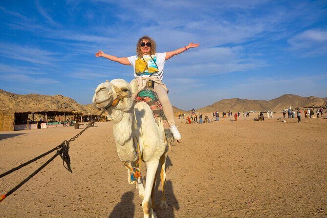 Enjoy with 1 - Hour Camel Ride with Transportation in Hurghada - Key Points