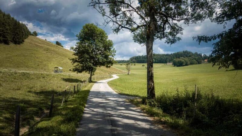 Enjoying Queenstown Private Walking Tour for Couples - Key Points