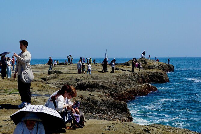 Enoshima Island Full-Day Private Tour from Tokyo (Customizable) - Who Should Consider This Tour?