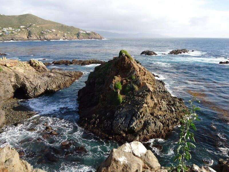 Ensenada: Beach and Bar Experience - Who Should Consider This Tour?