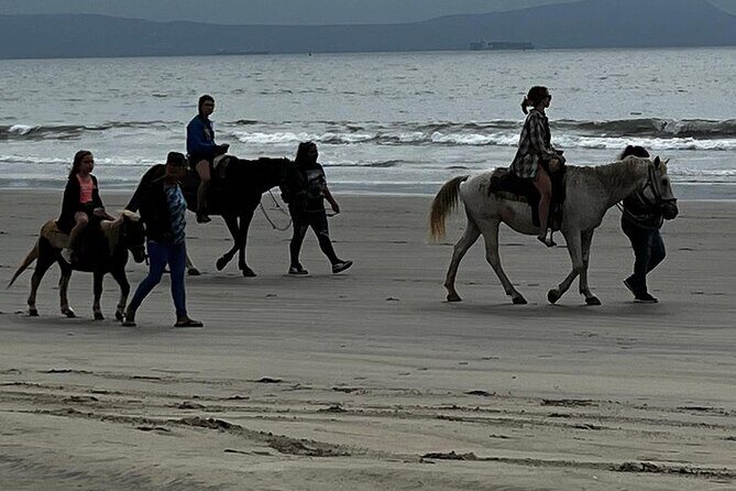 Ensenada City Tour on Ford T Replica and Beach Horse Back Riding - An In-Depth Look at the Ensenada Experience