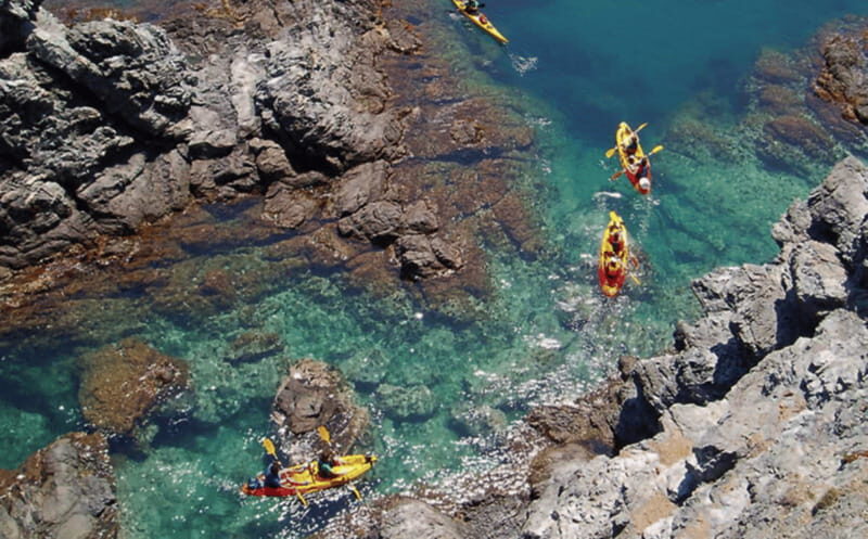 Ensenada: Kayaking at La Bufadora - Who Is This Tour Best For?