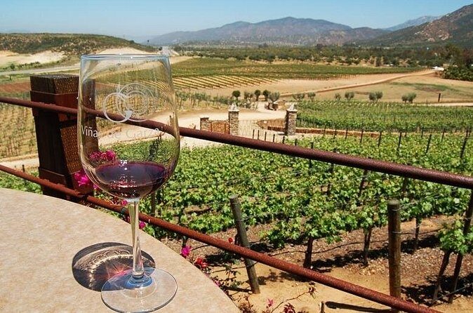 Ensenada, La Bufadora and Guadalupe Valley Private Guided Tour - The Value of This Tour