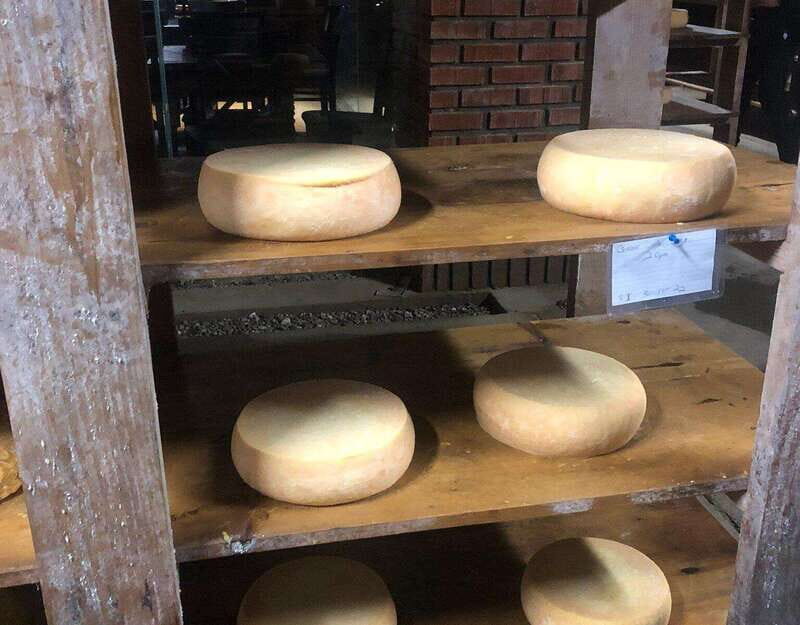 Ensenada: Ojos Negros Valley Cheese and Wine Tasting Tour - Who Will Enjoy This Tour?