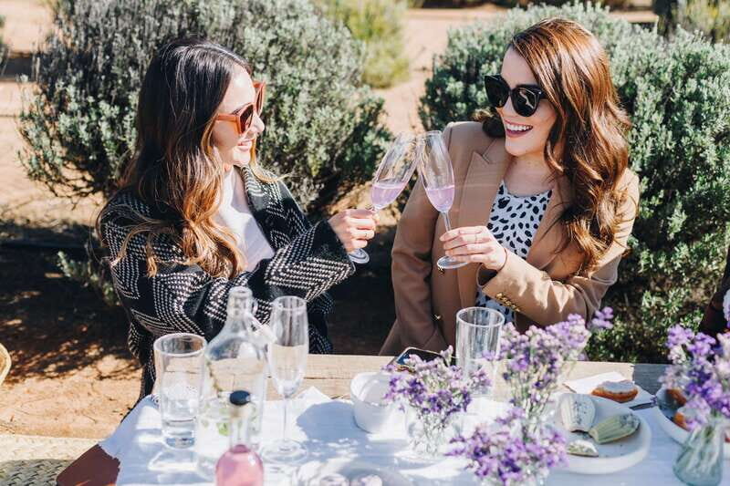 Ensenada: Picnic in Lavender Fields at Aires de Lavanda - Key Points