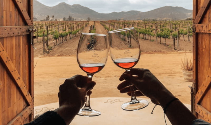 Ensenada: Valle de Guadalupe Wine Tasting Tour - Authenticity and Reviews