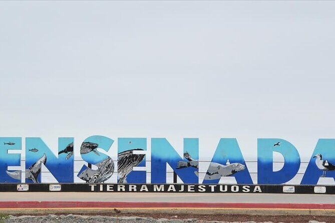 Ensenada Zipline and Blowhole Tour - FAQ
