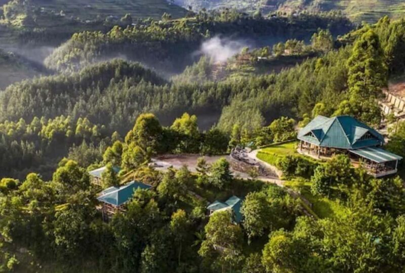 Entebbe: 9-Day Uganda Gorilla Trekking & Tanzania Safari - The Sum Up
