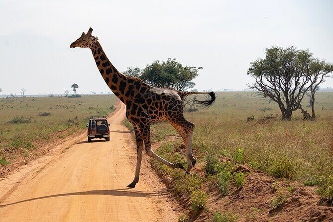 Entebbe Airport pickup (Entebbe - Kampala) reliable 24/7 transfer - Frequently Asked Questions