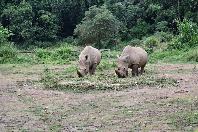 Entebbe Eco Tour - Full Day - Who Will Love This Tour?