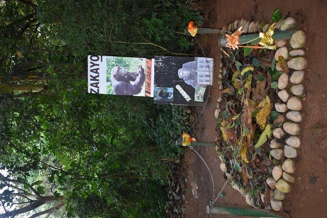 Entebbe Eco Tour - Full Day - The Sum Up