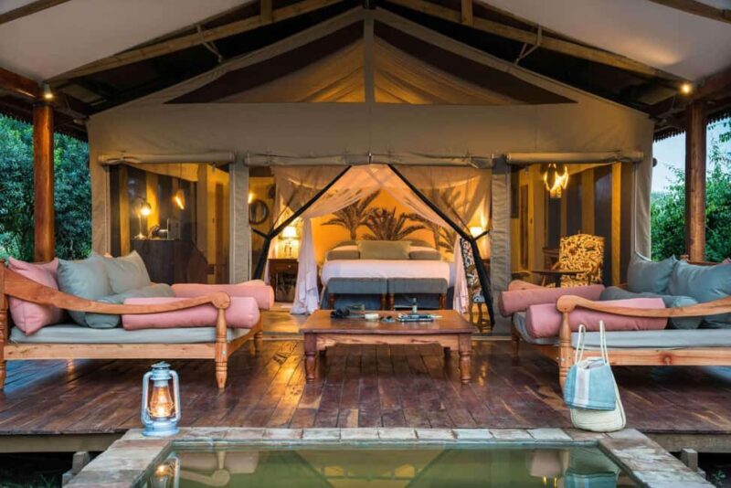 Entebbe: Queen Elizabeth National Park Luxury Safari - Key Points