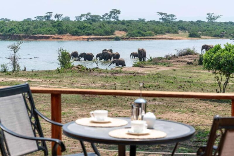 Entebbe: Queen Elizabeth National Park Luxury Safari - The Practical Side: What’s Included and What’s Not
