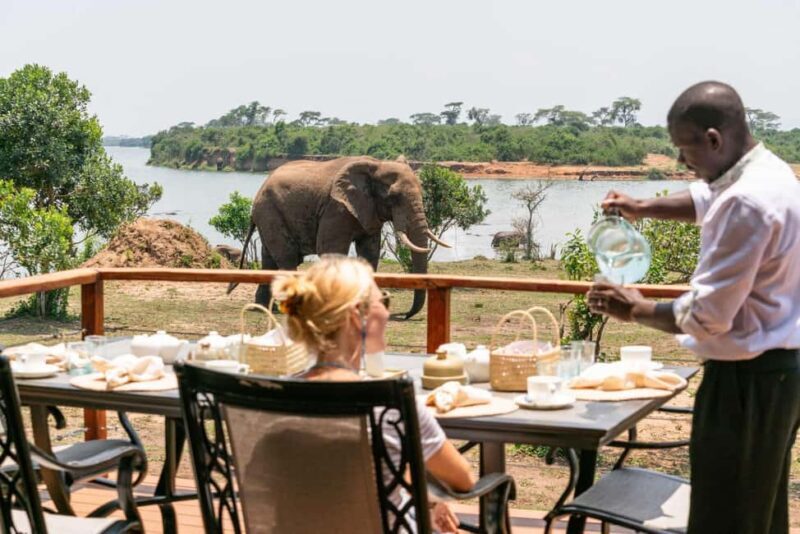 Entebbe: Queen Elizabeth National Park Luxury Safari - The Experience Provider: Pamoja Safaris Uganda