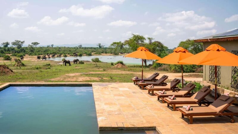Entebbe: Queen Elizabeth National Park Luxury Safari - Frequently Asked Questions