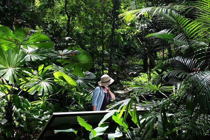 Entopia Butterfly Farm & Tropical Spice Garden Tour - Who Will Love This Tour?