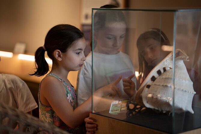 Entrance Ticket to World of Seashells museum - Final Thoughts: Who Should Visit?