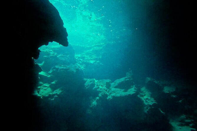 Entrance tickets to swim in 4 Cenotes in Casa Tortuga Park - Practical Tips for Travelers